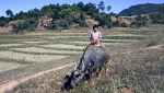 Burma. Foto: Staffan Tamm.