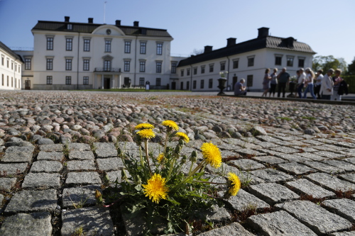 Rosersbergs slott.