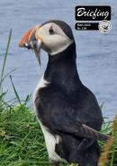 Omslaget till senaste numret av Briefing.